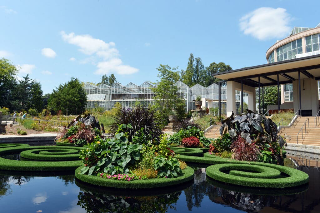 The Water Pool at Atlanta Botanical Garden